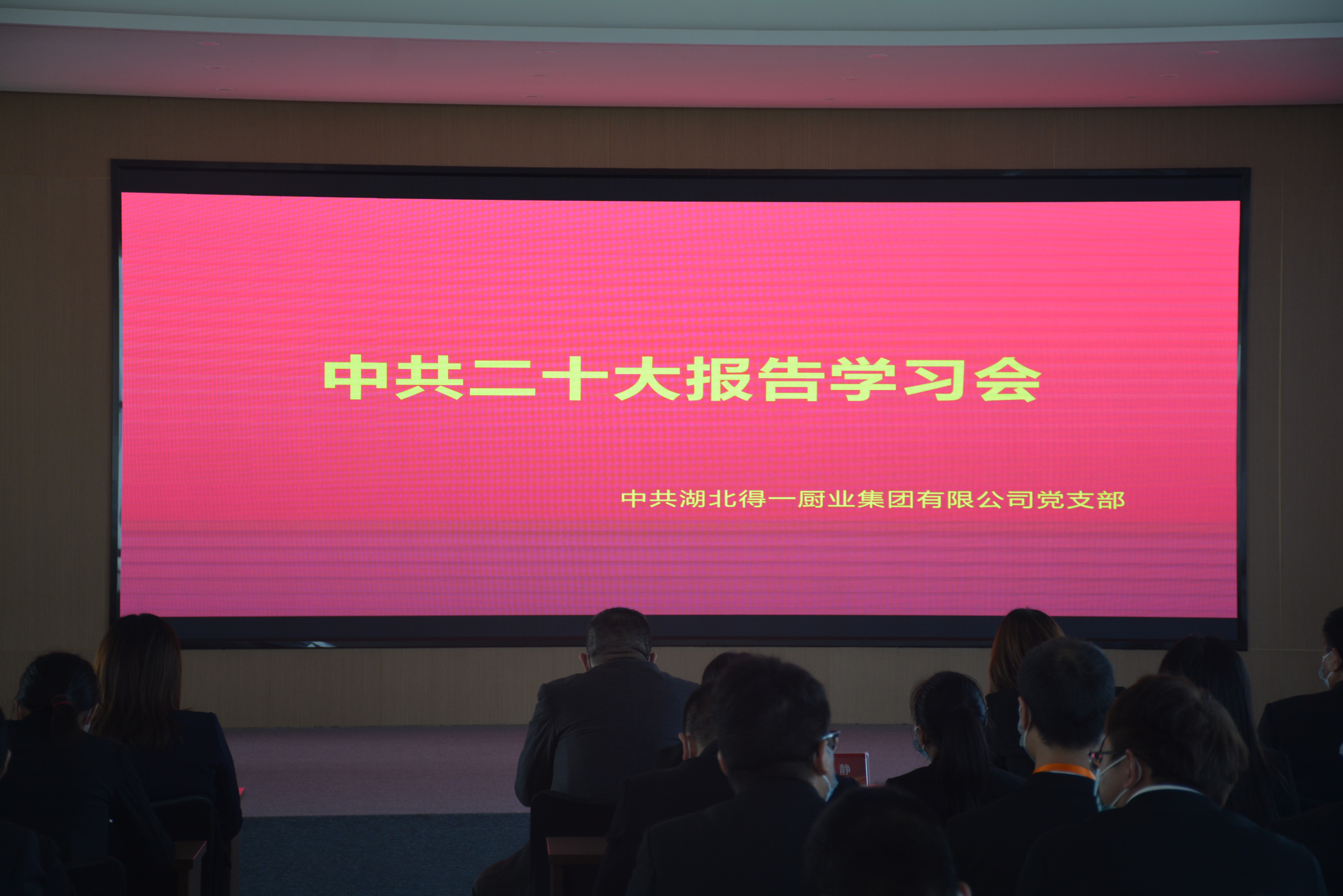 湖北熊猫体育集团组织学习党的二十大精神