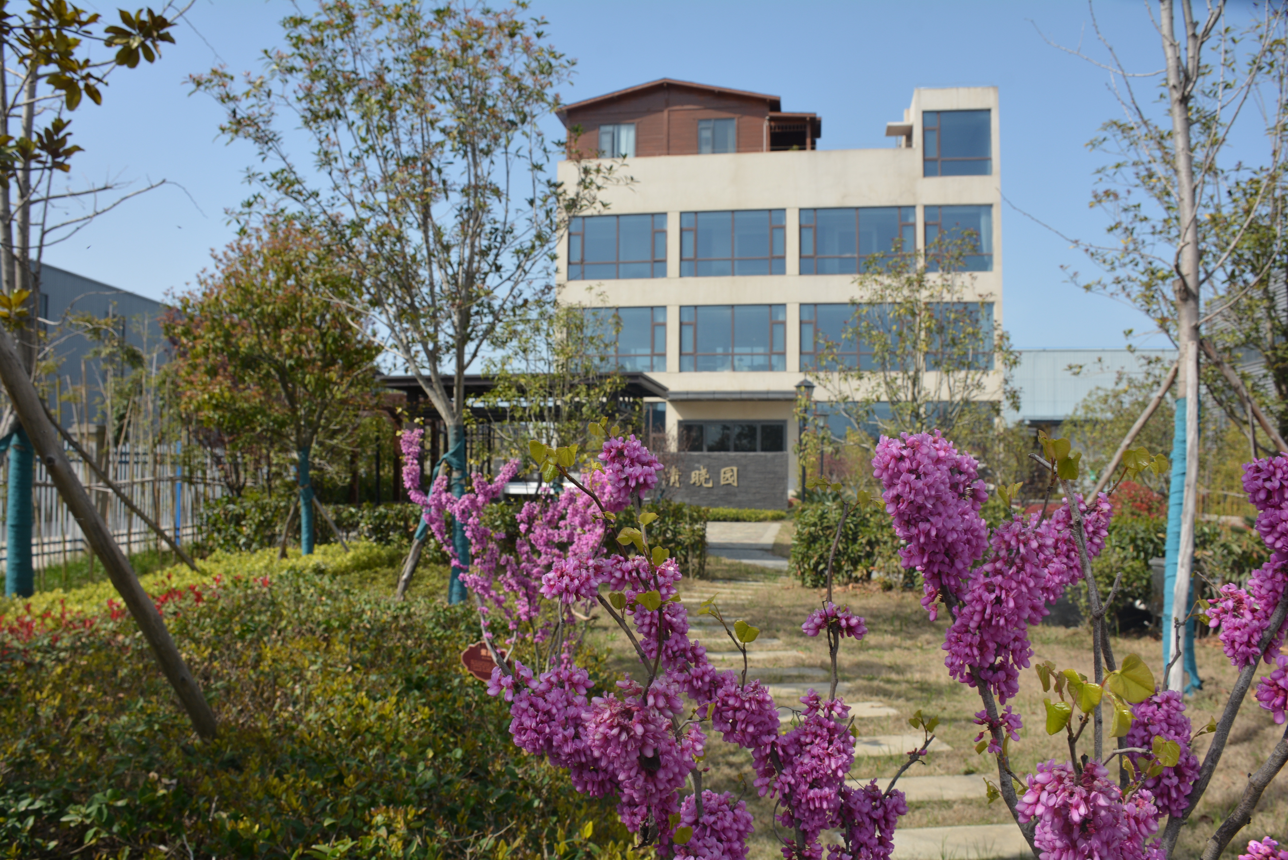 遇见春天，遇见美好，熊猫体育集团春意正当时