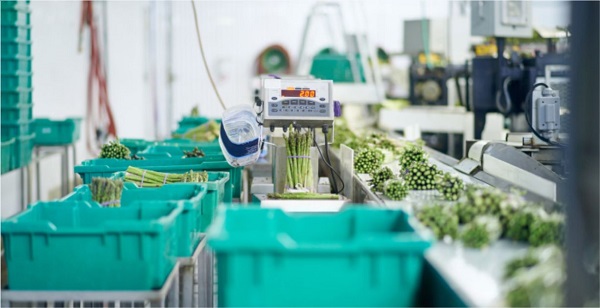 团餐产业探索数智化转型