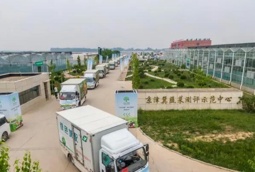 京冀协同发力，“河北净菜”新鲜直达北京千家万户